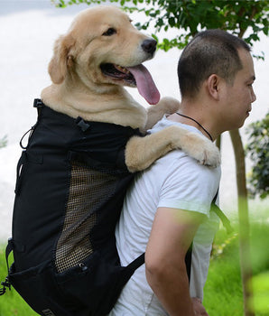 Travel backpack