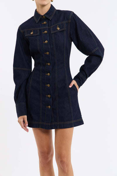 DELIA Denim Dress