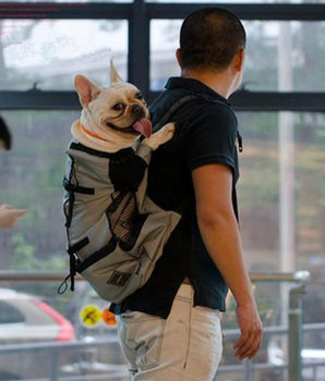 Travel backpack