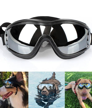 Dog sunglasses